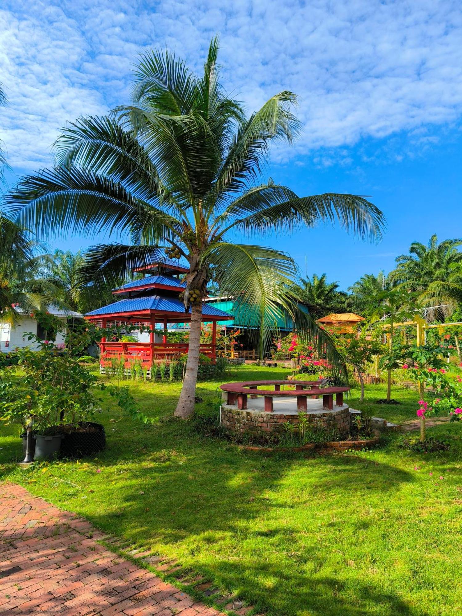 Shunde Palm Resort 仙本那顺德人家棕榈园 Екстериор снимка